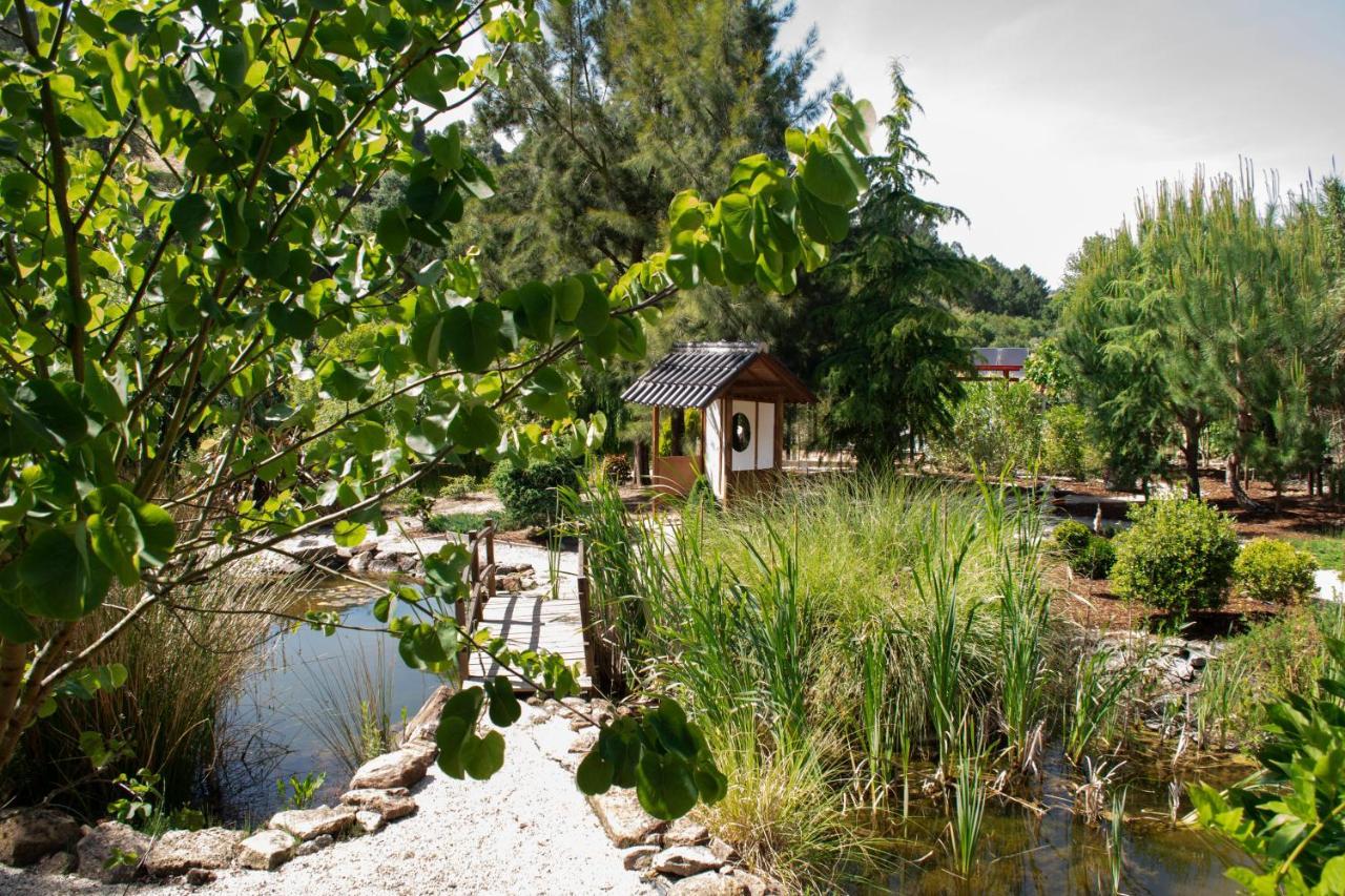 Quinta Japonesa Bed & Breakfast Carvalhal Bemfeito Exterior photo