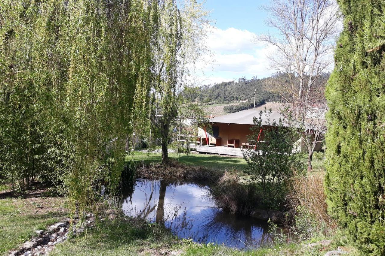 Quinta Japonesa Bed & Breakfast Carvalhal Bemfeito Exterior photo