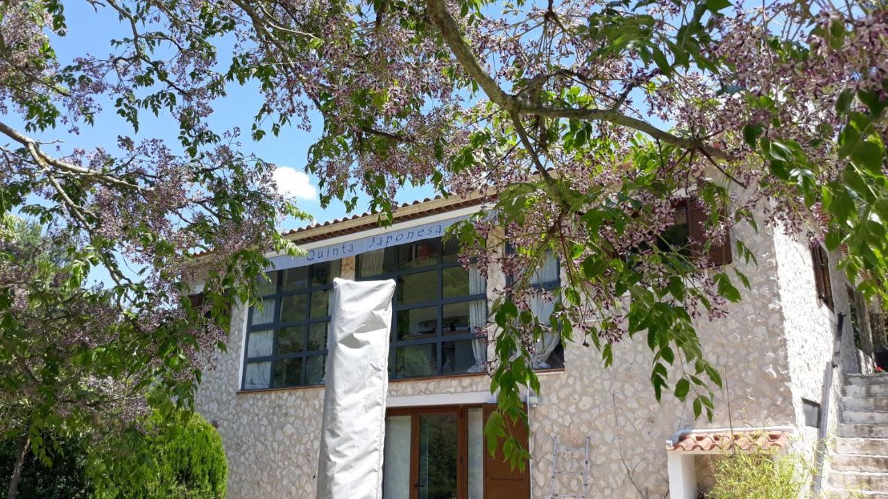 Quinta Japonesa Bed & Breakfast Carvalhal Bemfeito Exterior photo