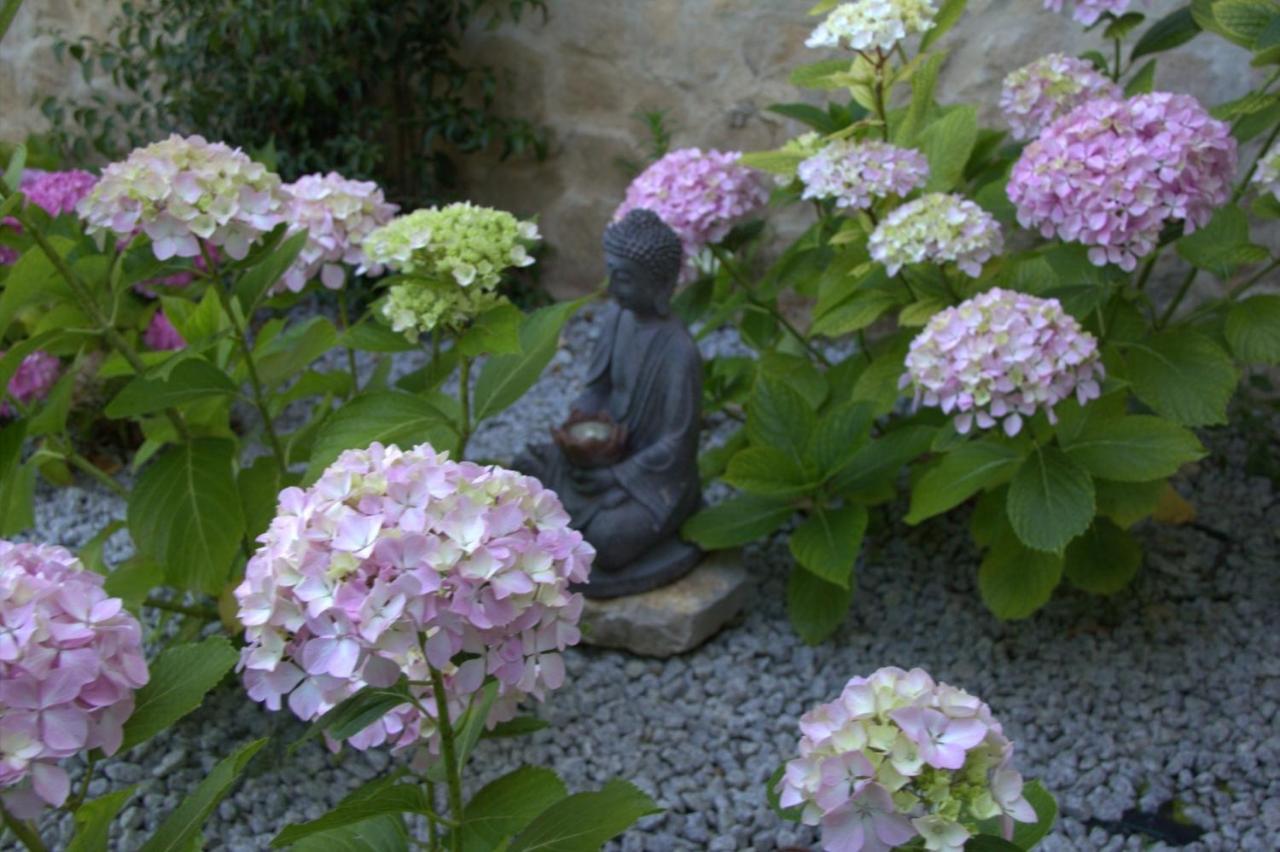 Quinta Japonesa Bed & Breakfast Carvalhal Bemfeito Exterior photo